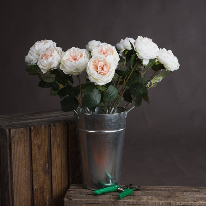 Blush Garden Rose x 3 Stems