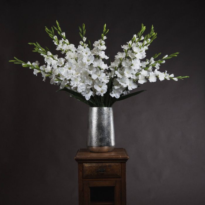 6 Stems of White Gladioli