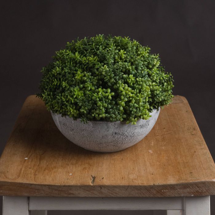 Small Hebe Globe Pot 15cm