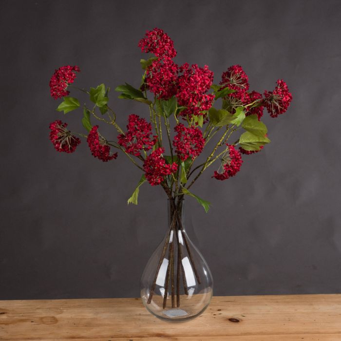 Red Viburnum x 3 Stems