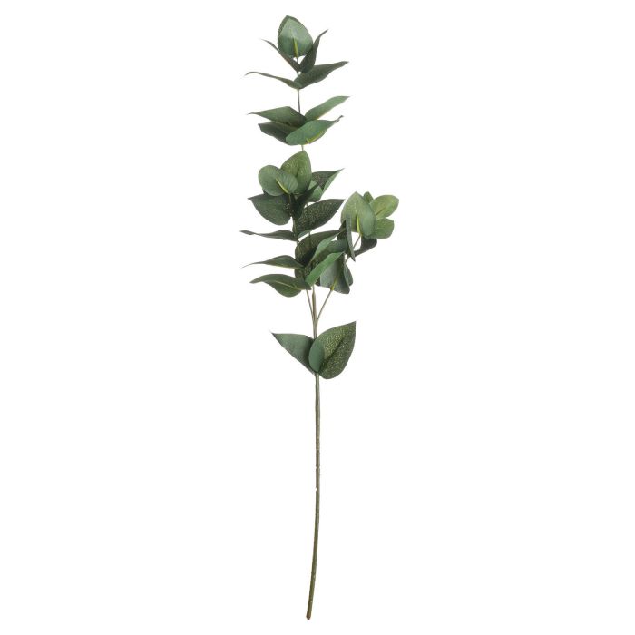 Eucalyptus Filler x 6 Stems