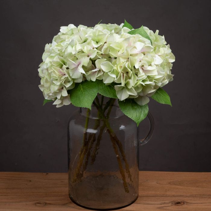 6 Stems Shabby Green Single Hydrangea