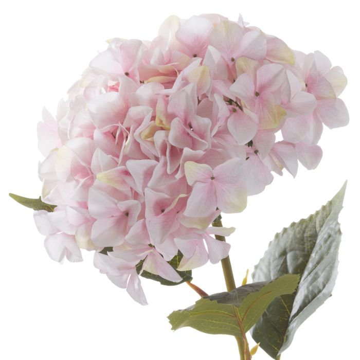 3 Stems Giant Pink Hydrangea