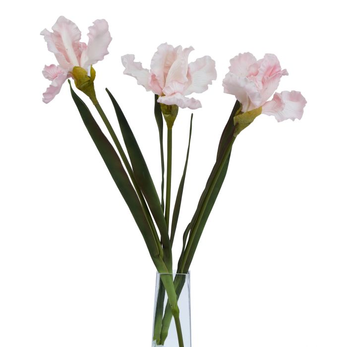 3 Stems of The Natural Garden Collection Pale Pink Fringed Iris