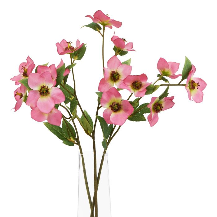 6 Stems of The Natural Garden Collection Pink Varigated Hellibore