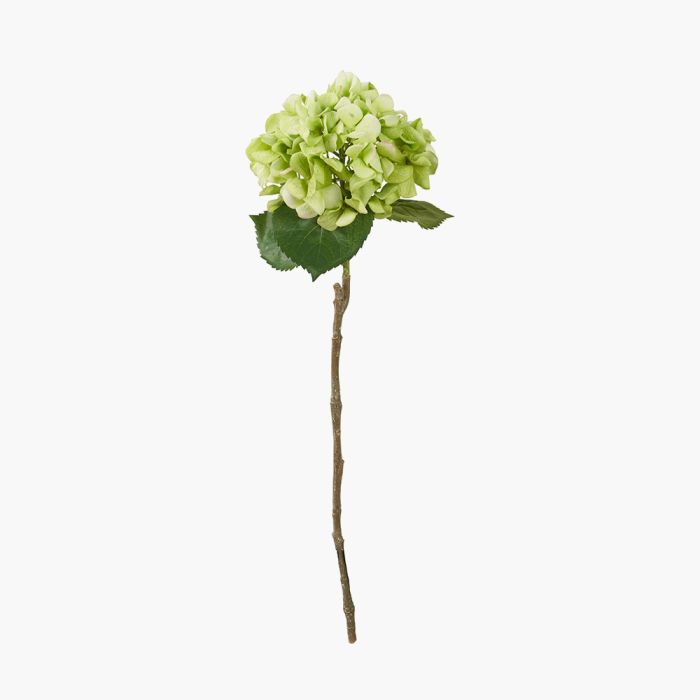 6 Stems of Green Hydrangea