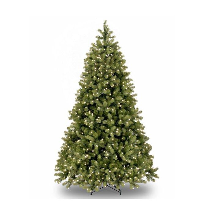 Bayberry Spruce 6ft Tree 500 Warm White LEDs