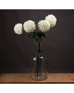 Large White Chrysanthemum x 3 Stems