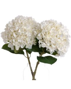 3 Stems of Oversized White Hydrangea