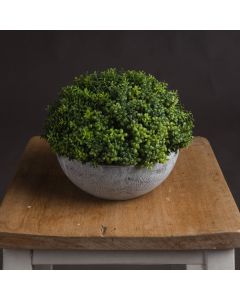 Small Hebe Globe Pot 15cm