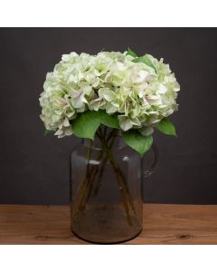 6 Stems Shabby Green Single Hydrangea