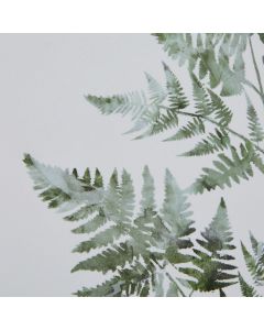 Watercolour Bracken Fern In Washed Wood Frame