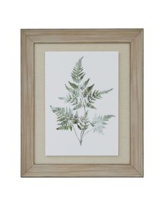 Watercolour Bracken Fern In Washed Wood Frame