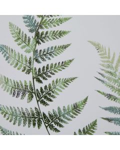Watercolour Fern Duo In Washed Wood Frame
