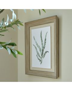 Watercolour Delicate Fern In Washed Wood Frame
