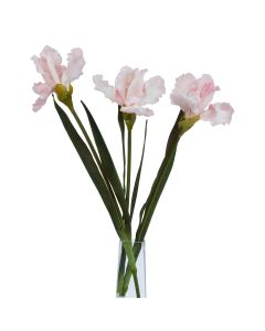 3 Stems of The Natural Garden Collection Pale Pink Fringed Iris