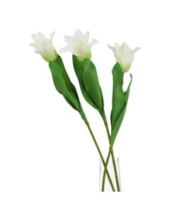 6 Stems of The Natural Garden Collection White Parrot Tulip