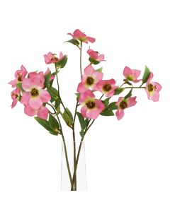 6 Stems of The Natural Garden Collection Pink Varigated Hellibore