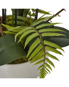 Large White Orchid In Ceramic Pot