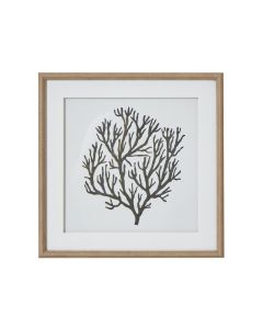 Atol Coral Art Mounted In Beaded Frame