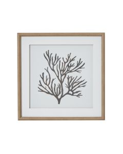 Reef Coral Art Mounted In Beaded Frame