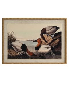 Flora & Fauna Collection Pochards On Linen In Beaded Frame
