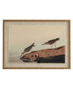 Flora & Fauna Collection Stints On Linen In Beaded Frame