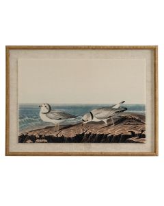 Flora & Fauna Collection Plovers On Linen In Beaded Frame