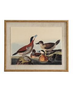 Flora & Fauna Collection Ducks On Linen In Beaded Frame