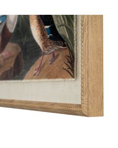 Flora & Fauna Collection Mallards On Linen In Beaded Frame