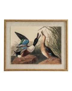 Flora & Fauna Collection Mallards On Linen In Beaded Frame