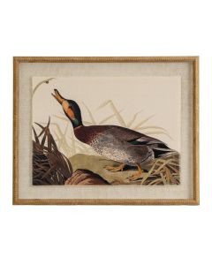 Flora & Fauna Collection Duck On Linen In Beaded Frame