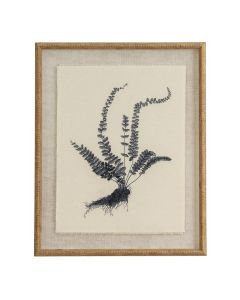 Flora & Fauna Collection Spleenwort On Linen In Beaded Frame