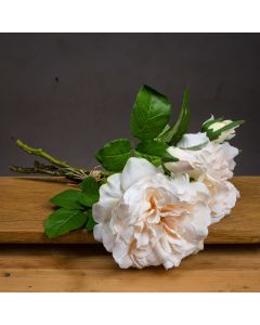 Peachy Cream Short Stem Rose Bouquet