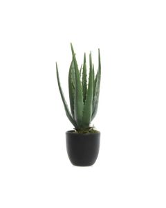 Aloe Vera Artificial Plant in Pot