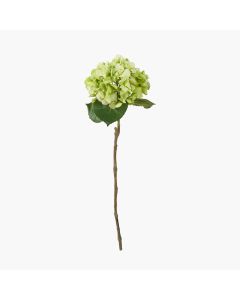 6 Stems of Green Hydrangea