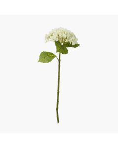 6 Stems of White Hydrangea