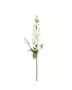 Tall White Delphinium Stem