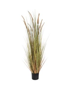 Field Grass Pot 60 Inch